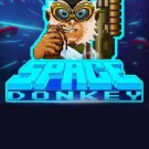Space Donkey 