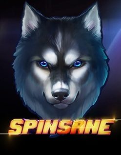 Spinsane 