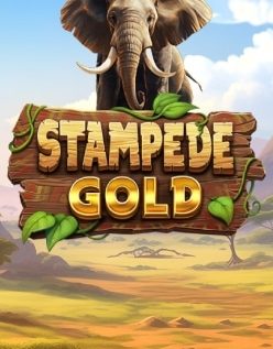 Stampede Gold 