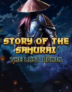 Story Of The Samurai The Last Ronin 