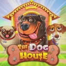 The Dog House 