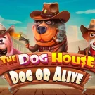 The Dog House – Dog or Alive 