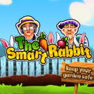 The Smart Rabbit 
