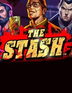 The Stash 
