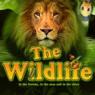 The Wildlife 
