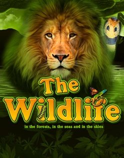 The Wildlife 