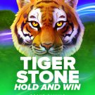 Tiger Stone 