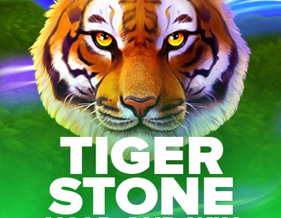 Tiger Stone 
