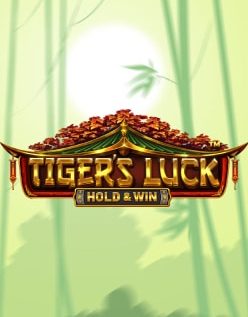 Tiger’s Luck 