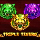 Triple Tigers 