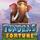 Tundra’s Fortune 