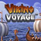 Viking Voyage 
