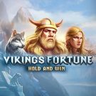 Vikings Fortune: Hold and Win 
