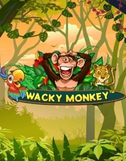 Wacky Monkey 