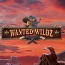 Wanted Wildz 