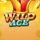 Wild Ace 