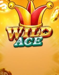 Wild Ace 