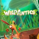 Wild Antics 