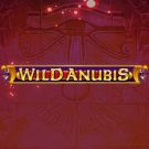 Wild Anubis 
