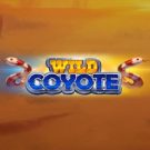 Wild Coyote 