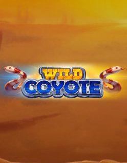 Wild Coyote 