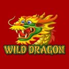 Wild Dragon 