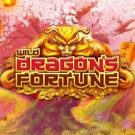 Wild Dragon`s Fortune 