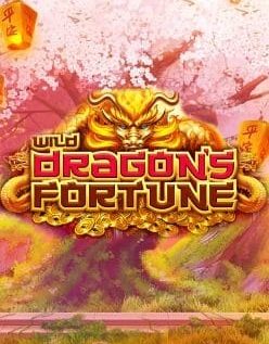 Wild Dragon`s Fortune 