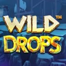 Wild Drops 