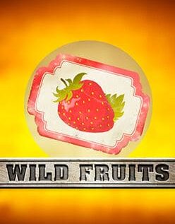Wild Fruits 