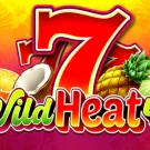 Wild Heat 40 Demo Slot 