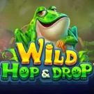 Wild Hop & Drop 