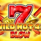 Wild Hot 40 Blow Demo Slot 