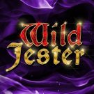 Wild Jester 