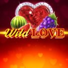 Wild Love 