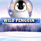 Wild Penguin 