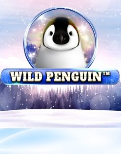 Wild Penguin 
