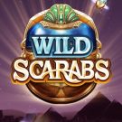 Wild Scarabs 
