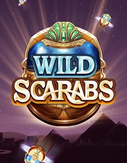 Wild Scarabs 