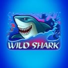 Wild Shark 