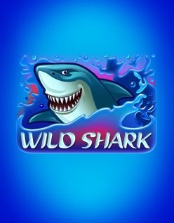 Wild Shark 
