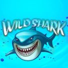 Wild Shark Bonus Buy 