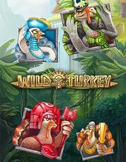 Wild Turkey 