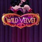Wild Velvet 