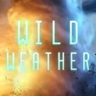 Wild Weather 