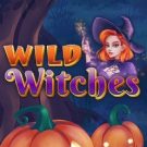 Wild Witches 
