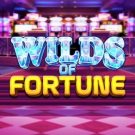 Wilds of Fortune 