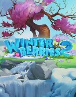 Winterberries 2 