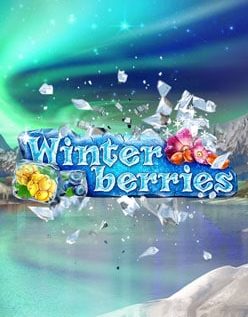 Winterberries 