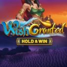 Wish Granted 